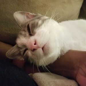 Meet your Posher, Wanda